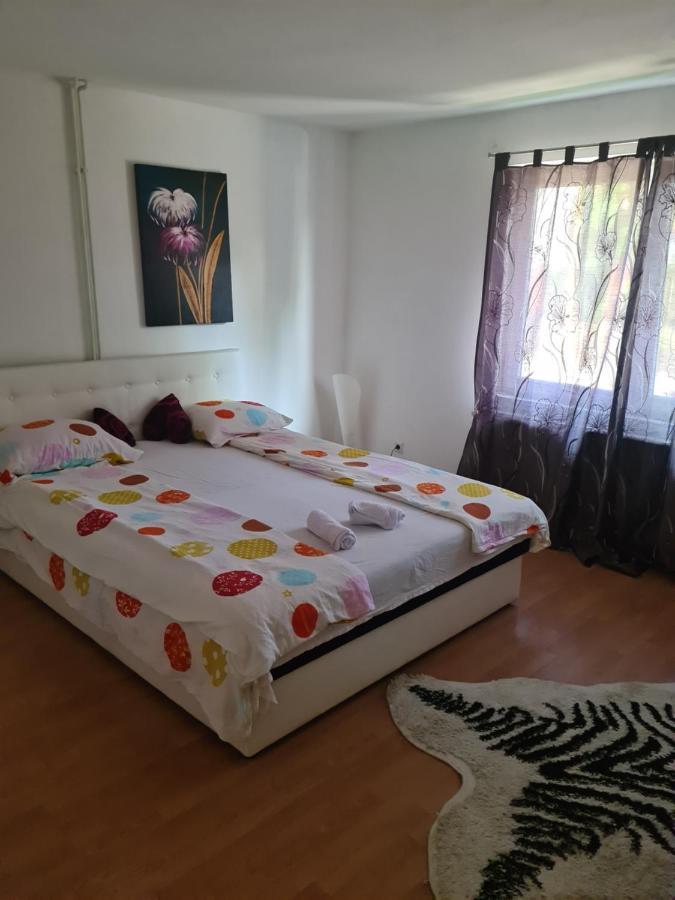 Apartman City 图兹拉 外观 照片
